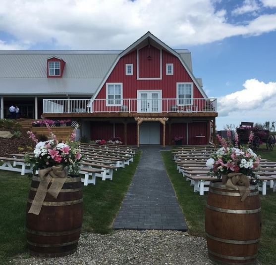 Mountain View Events Ltd